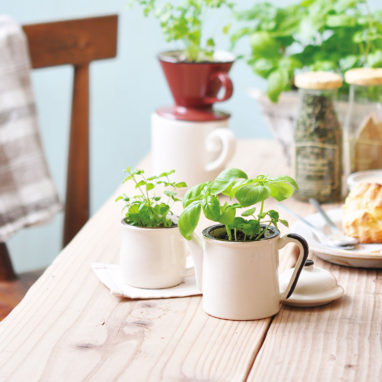 【多款室內盆栽花器推薦】綠化家居，給自己充滿正能量的小禮物