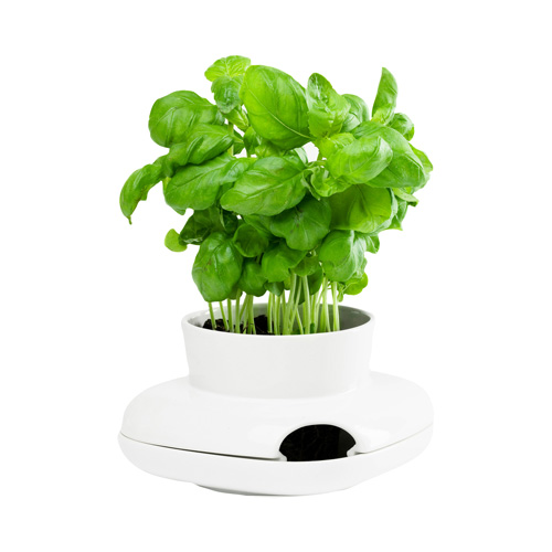 【多款室內盆栽花器推薦】綠化家居，給自己充滿正能量的小禮物