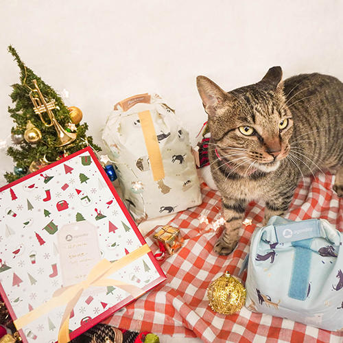 【2025不斷更新】最齊全聖誕禮物清單！多款精選交換禮物推薦，$300~$1000以上任你挑選