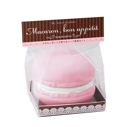 日本 聖新陶芸 Sweet Garden-Macaroon 馬卡龍甜點栽培盆器/單個 粉紅色/草莓