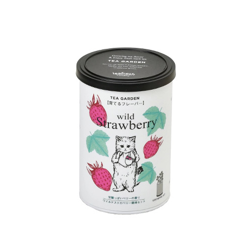 日本 聖新陶芸 Grow Flavor 花草茶植物栽培組-野草莓