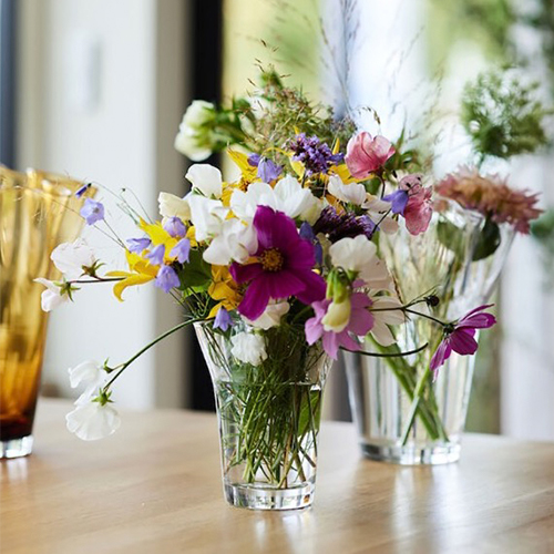 【11/14~12/6聖誕節早鳥優惠】瑞典 sagaform Viva 透明花器-Small