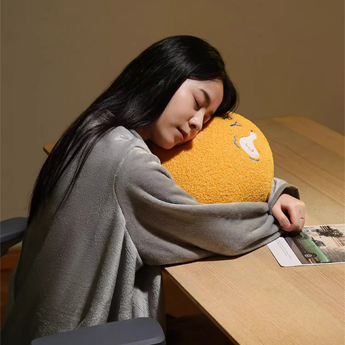 家居生活雜貨舖 可穿式抱枕被毯 白鵝