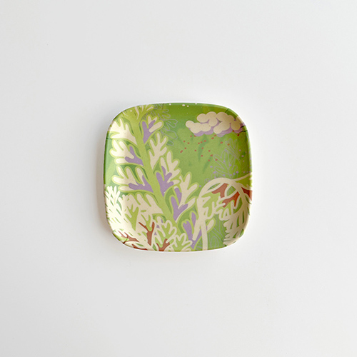 FERN ONLY 只有蕨 蕨景環保小碟4.0(長生鐵角蕨)