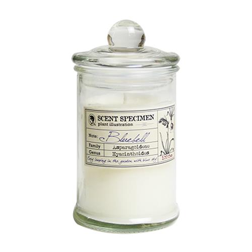 賽先生科學工廠 氣味標本香氛蠟燭附布袋 花香系列-藍鈴香（自）