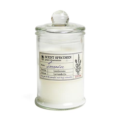 賽先生科學工廠 氣味標本香氛蠟燭附布袋 花香系列-薰衣草（自）