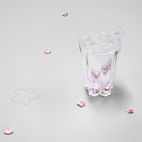 【5/12~5/18精選文創品牌9折】日本 Perrocaliente SAKURASAKU 櫻花杯 一般 櫻花粉