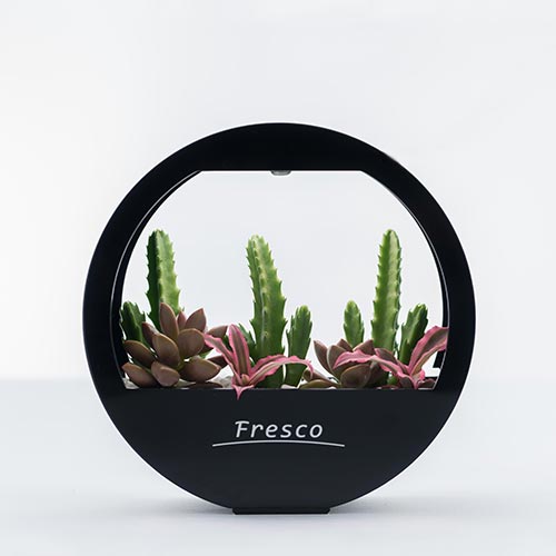 Fresco Mini Garden (LED植物燈) Arc 黑色
