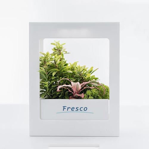 Fresco Mini Garden (LED植物燈) Modern 白色