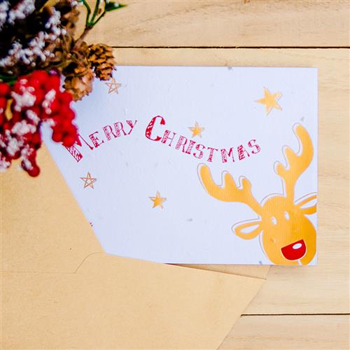 WOOPAPERS Merry Christmas 種子紙聖誕卡片 紅鼻子麋鹿 Red Nose Moose
