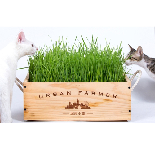 URBAN FARMER 城市小農栽培組-寵物專區