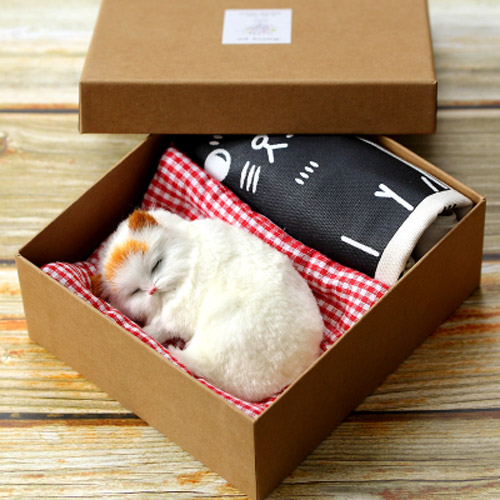 創意小物館 可愛仿真貓咪套裝禮盒 黃耳貓