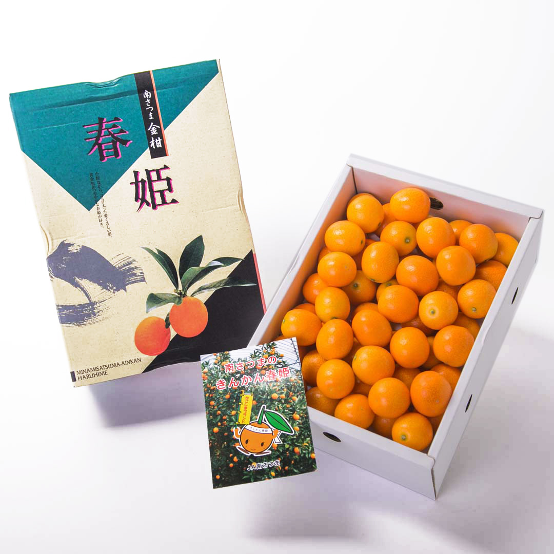 水果大亨 日本春姬金桔禮盒