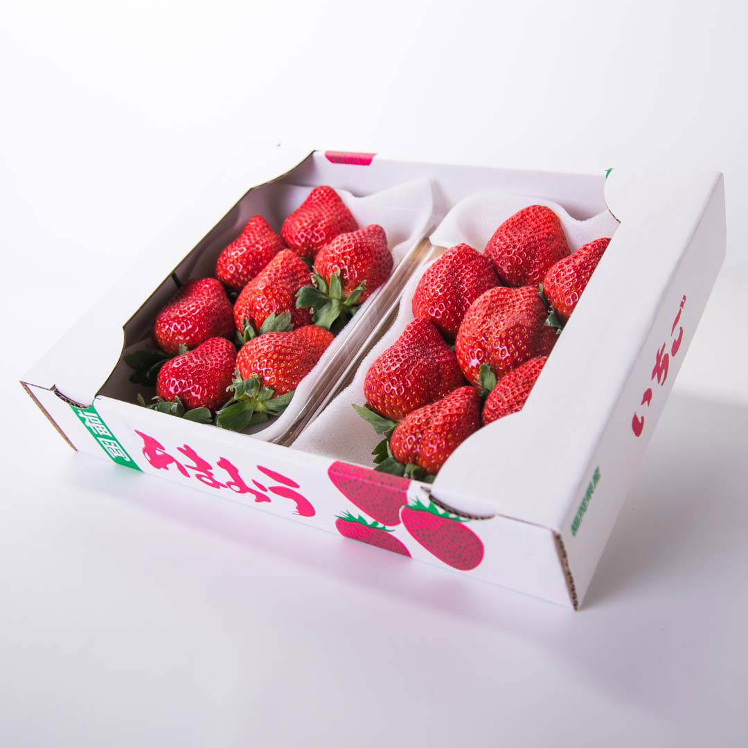 水果大亨 日本熊本大草莓禮盒