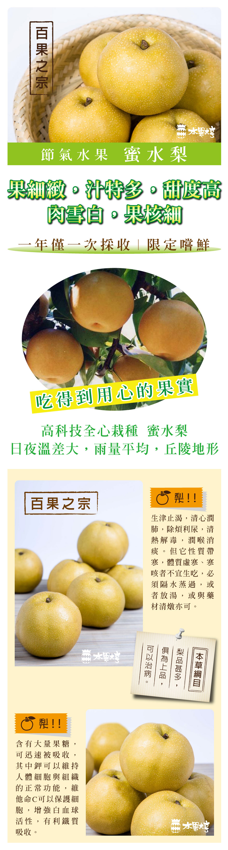 水果大亨 台灣雪梨禮盒
