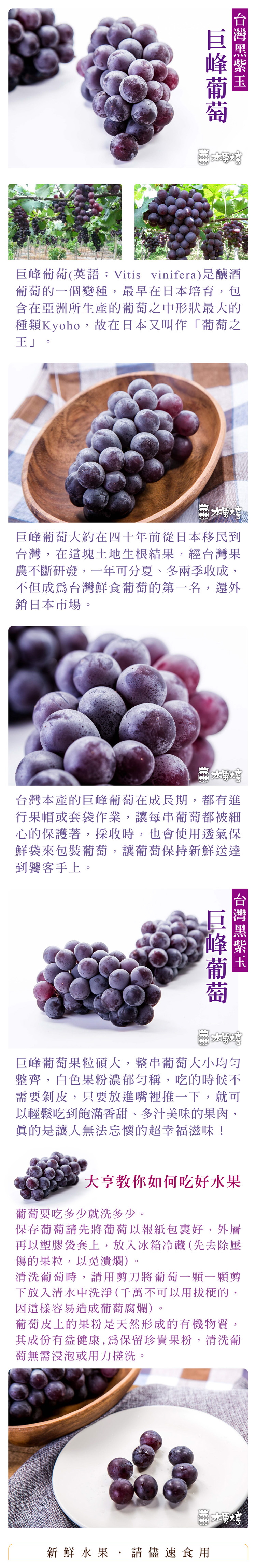 水果大亨 台灣巨峰葡萄禮盒