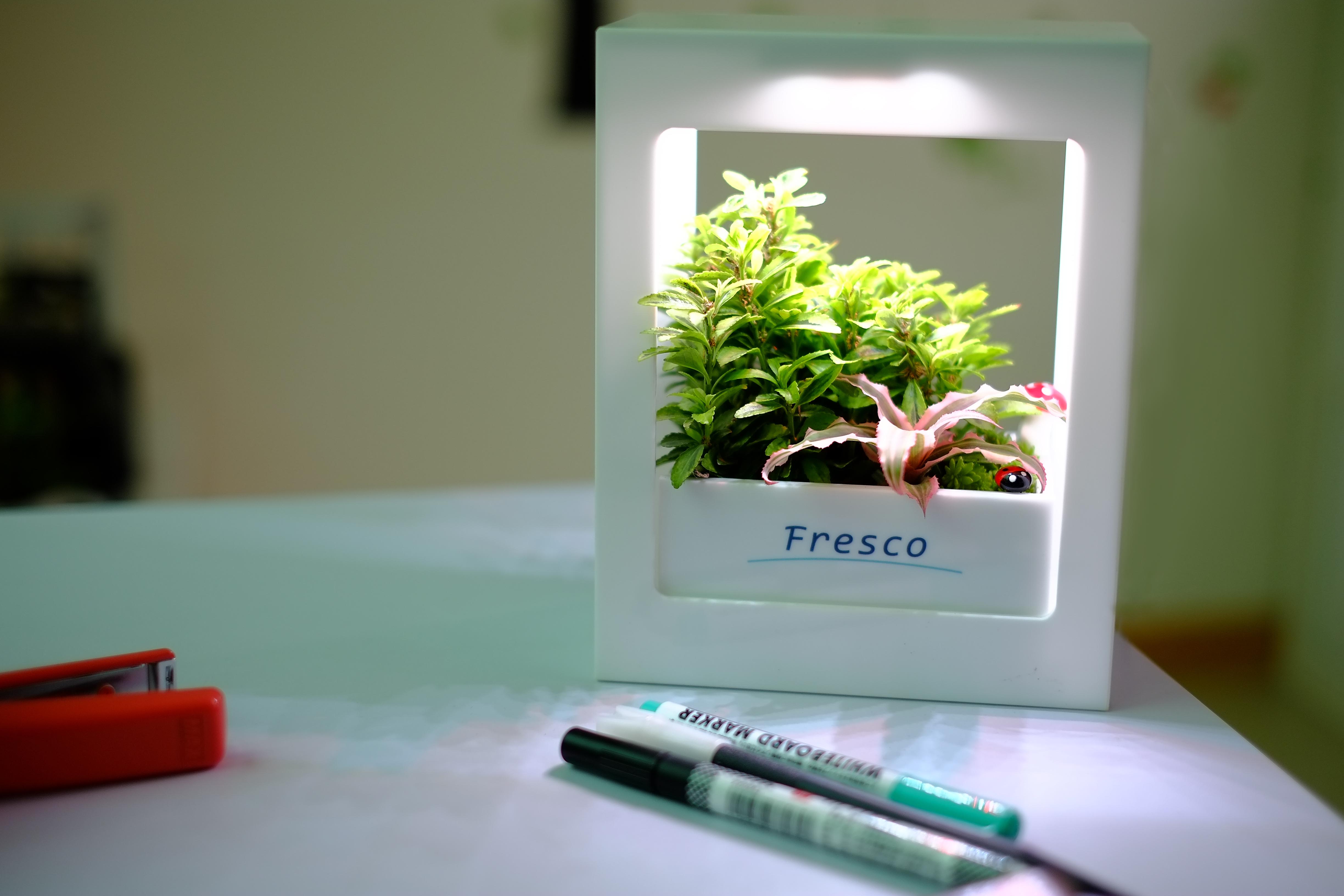 Fresco Mini Garden (LED植物燈) Modern 黑色