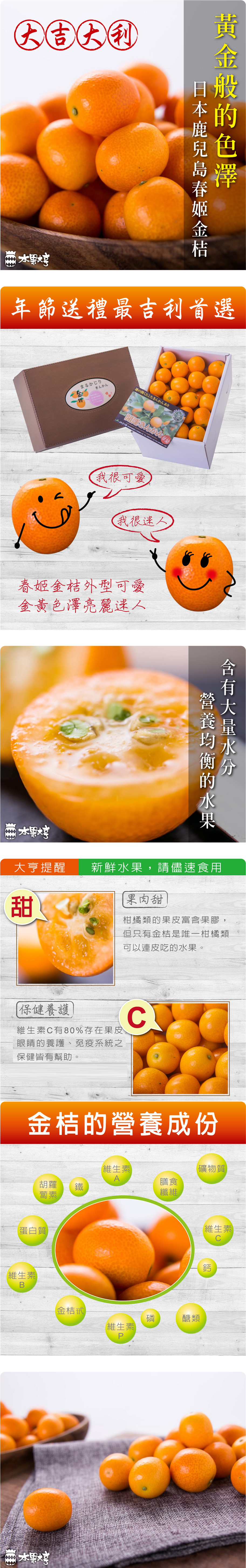 水果大亨 日本春姬金桔禮盒