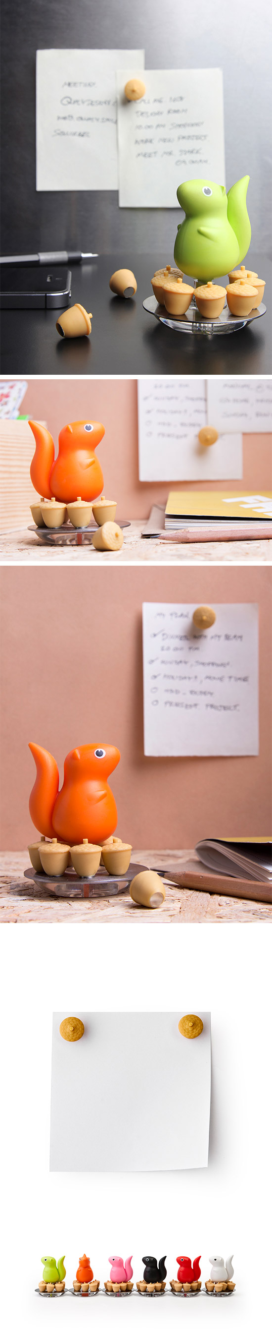 QUALY 松鼠吃核果 磁鐵 橘