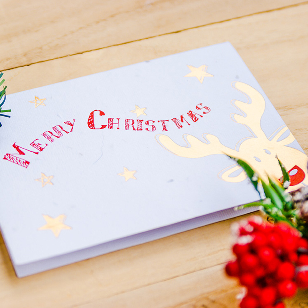 WOOPAPERS Merry Christmas 種子紙聖誕卡片 紅鼻子麋鹿 Red Nose Moose