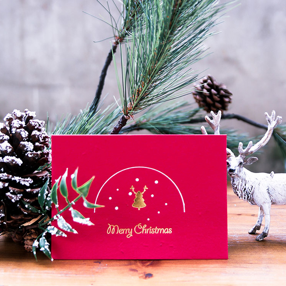 WOOPAPERS Merry Christmas 種子紙聖誕卡片 聖誕樹 Tree 紅