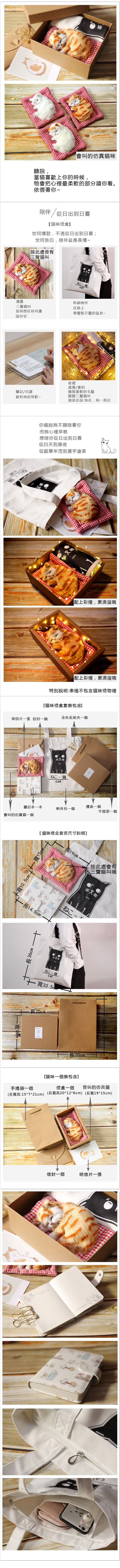 創意小物館 可愛仿真貓咪套裝禮盒 白貓