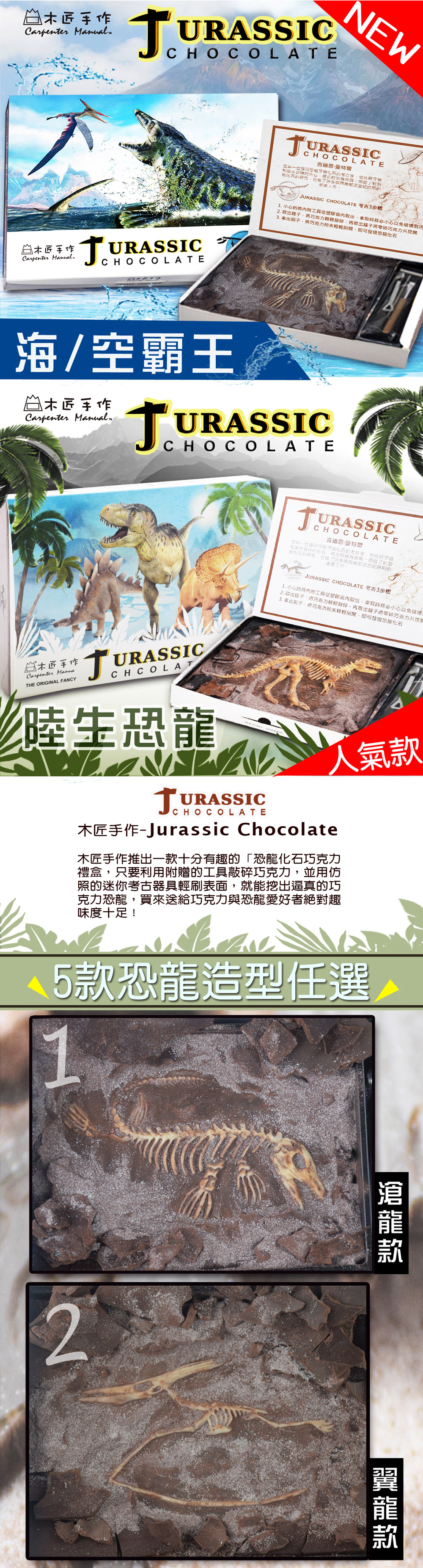 木匠手作 【經典版】恐龍化石巧克力 翼龍