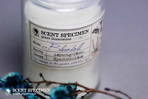 賽先生科學工廠 氣味標本香氛蠟燭附布袋 花香系列-藍鈴香（自）