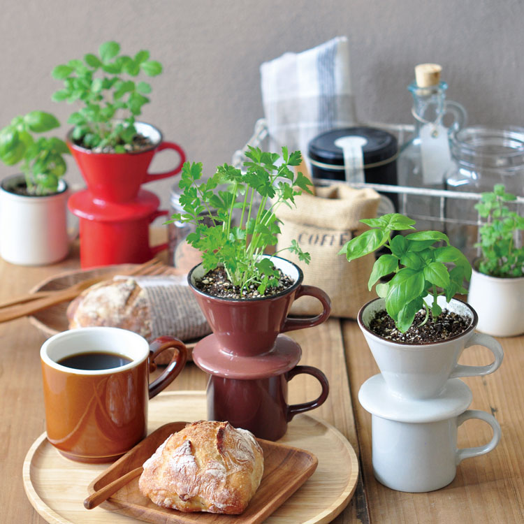 日本 聖新陶芸 Verde Cafe-Mug&dripper 造型植栽培/咖啡濾壺 紅色-小草莓
