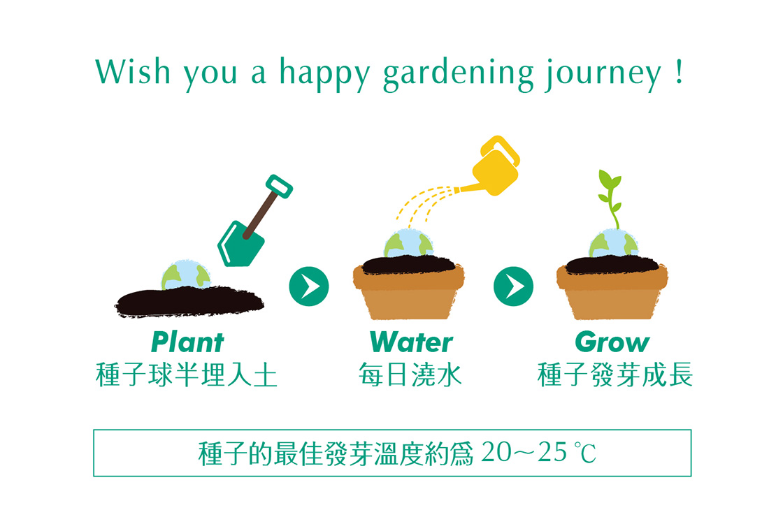 WOOPAPERS Star Grows 星星種子球植栽禮物組