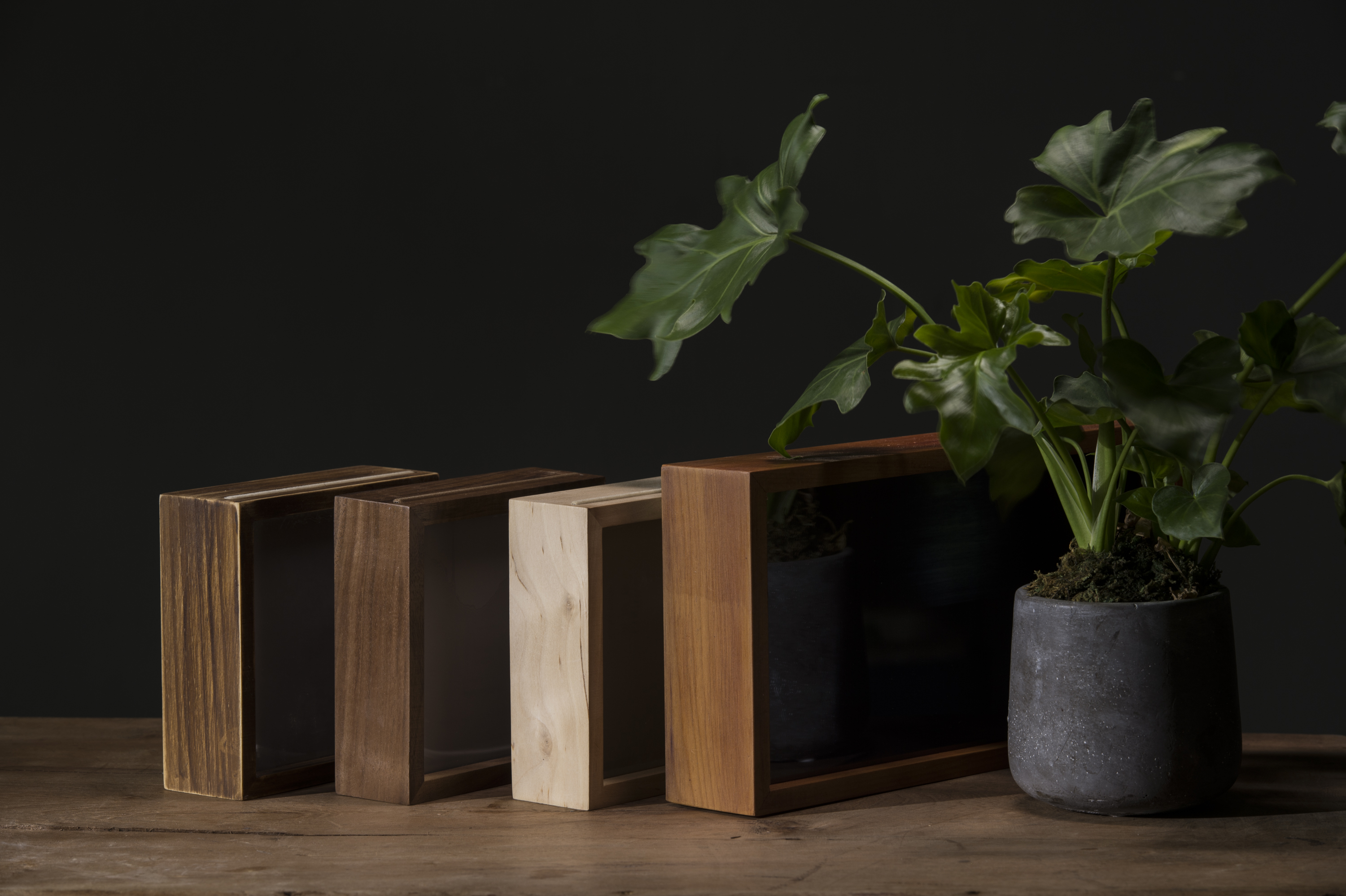 【客製化】Lighto光印樣 7吋Mini手工實木燈箱-深色木框（胡桃木）