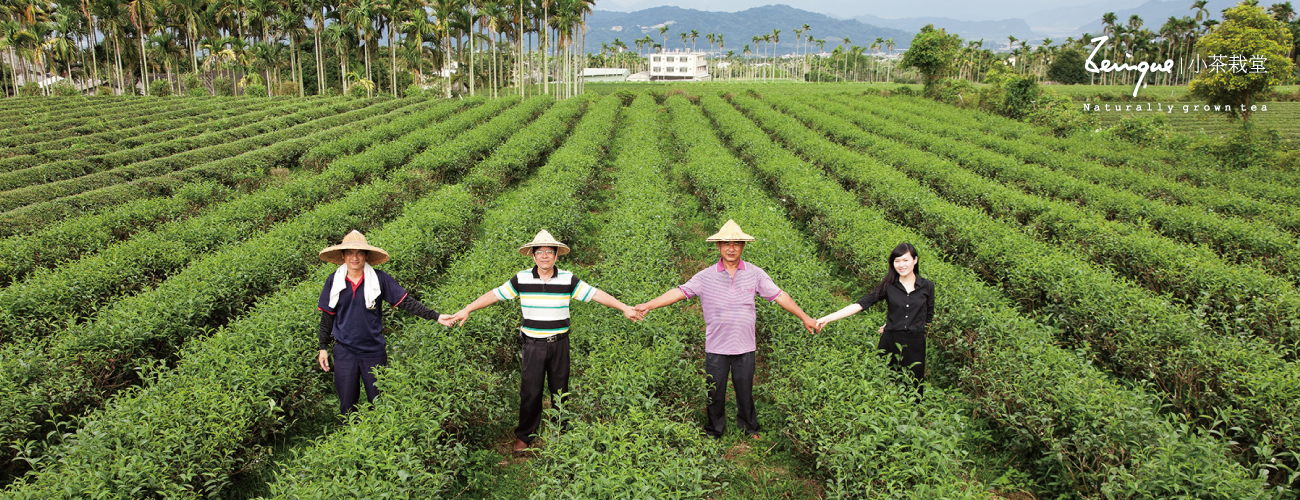 ‧ 茶葉堅持在地契作「單一產區」,100%自然栽培茶葉, 十數年來獲得國內外得獎肯定。

‧ 不使用除草劑, 草是自然生態的一部分。
