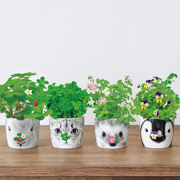 日本 聖新陶芸 HANA &ANIMALS 動物陶瓷花朵栽培盆器-四葉草貓