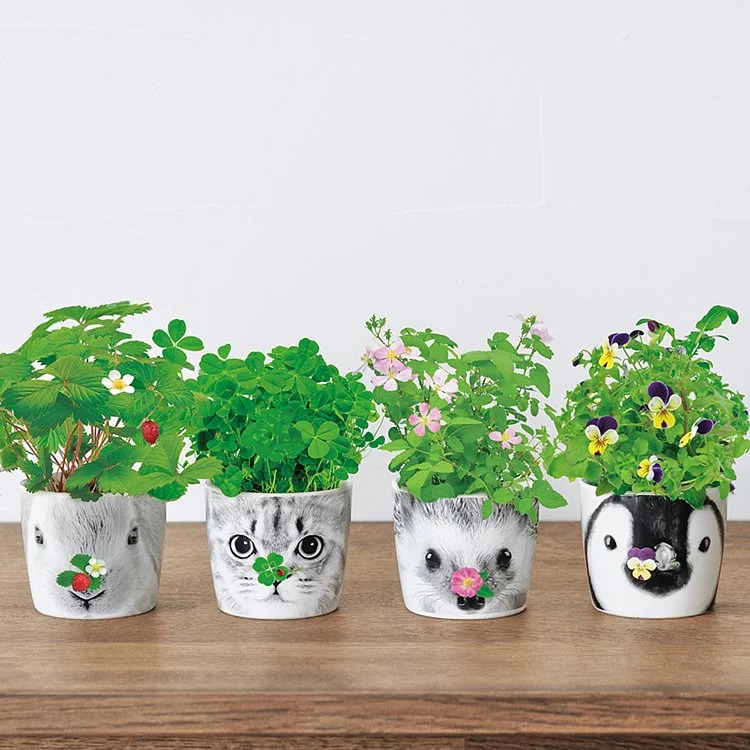 日本 聖新陶芸 HANA &ANIMALS 動物陶瓷花朵栽培盆器-野草莓兔