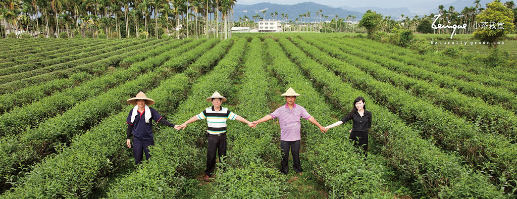 ‧ 茶葉堅持在地契作「單一產區」,100%自然栽培茶葉, 十數年來獲得國內外得獎肯定。 ‧ 不使用農藥,在茶園裡您可以發現完整的生態。