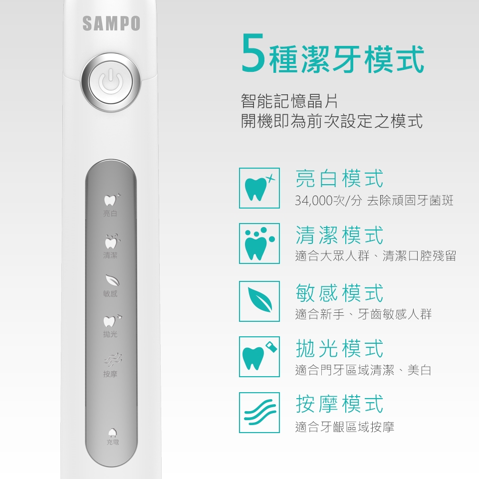 SAMPO 聲寶 USB五段式音波震動牙刷(TB-Z1814L) 附三支刷頭-黑