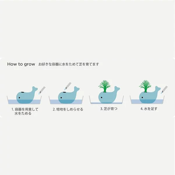 日本 聖新陶芸 HAPPY WHALE 噴水鯨魚種植組/黑麥草-藍