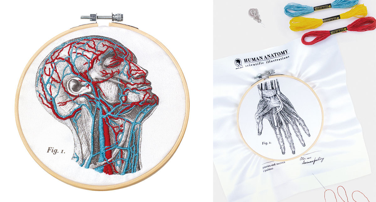 刺繡套組內共有兩款人體解剖底圖袖布，分別為頭部及手部的動、靜脈與神經分布圖。