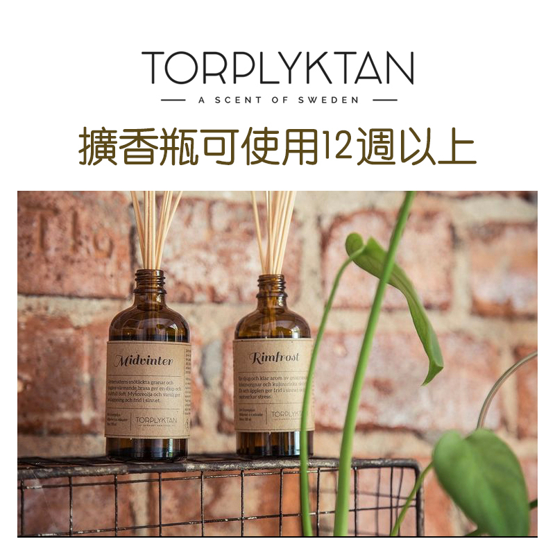 瑞典 Torplyktan 北歐四季擴香100ml -秘密森林