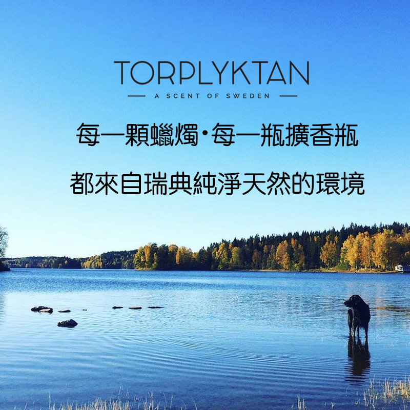 瑞典 Torplyktan 北極森林蠟燭160ml -乳香森林