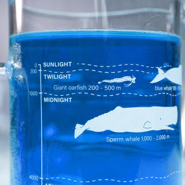 賽先生科學工廠 海底生物分佈圖玻璃把手高燒杯