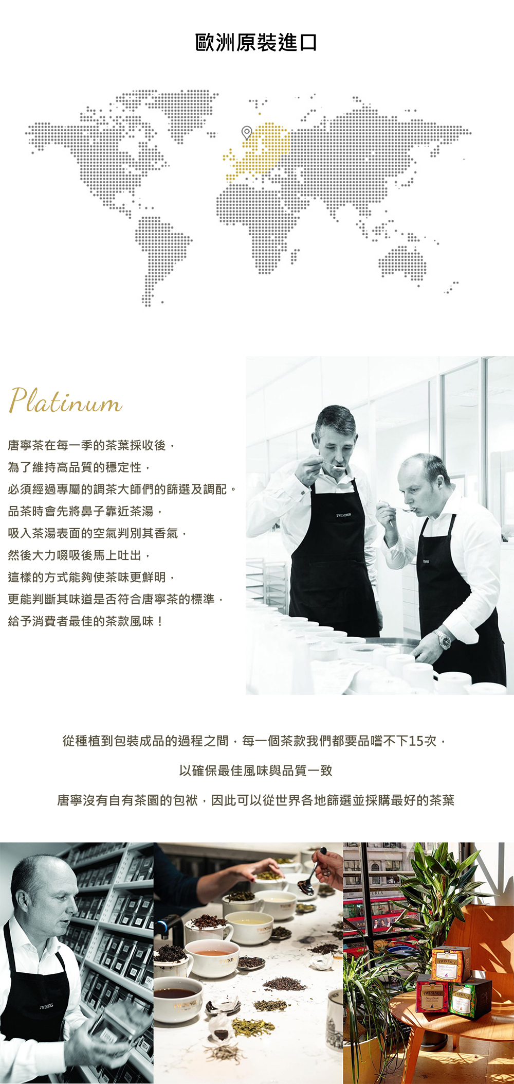 TWININGS 純情木思皇家禮盒 96入