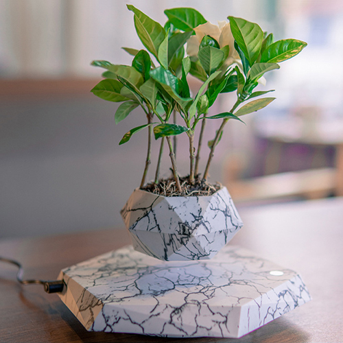 【11/3~12/31秋季85折優惠】家居生活雜貨舖 磁浮創意植栽花盆 大理石