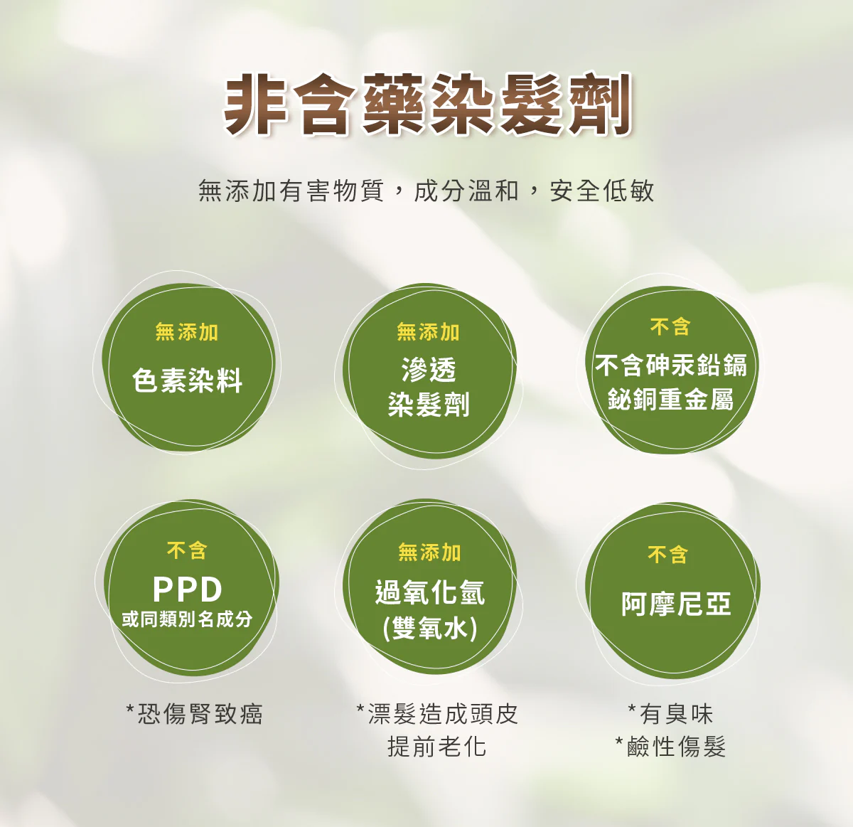 28健康通販 【安心白髮上色】茶碳光感上色亮髮乳(柔順版 3入免運特惠組)