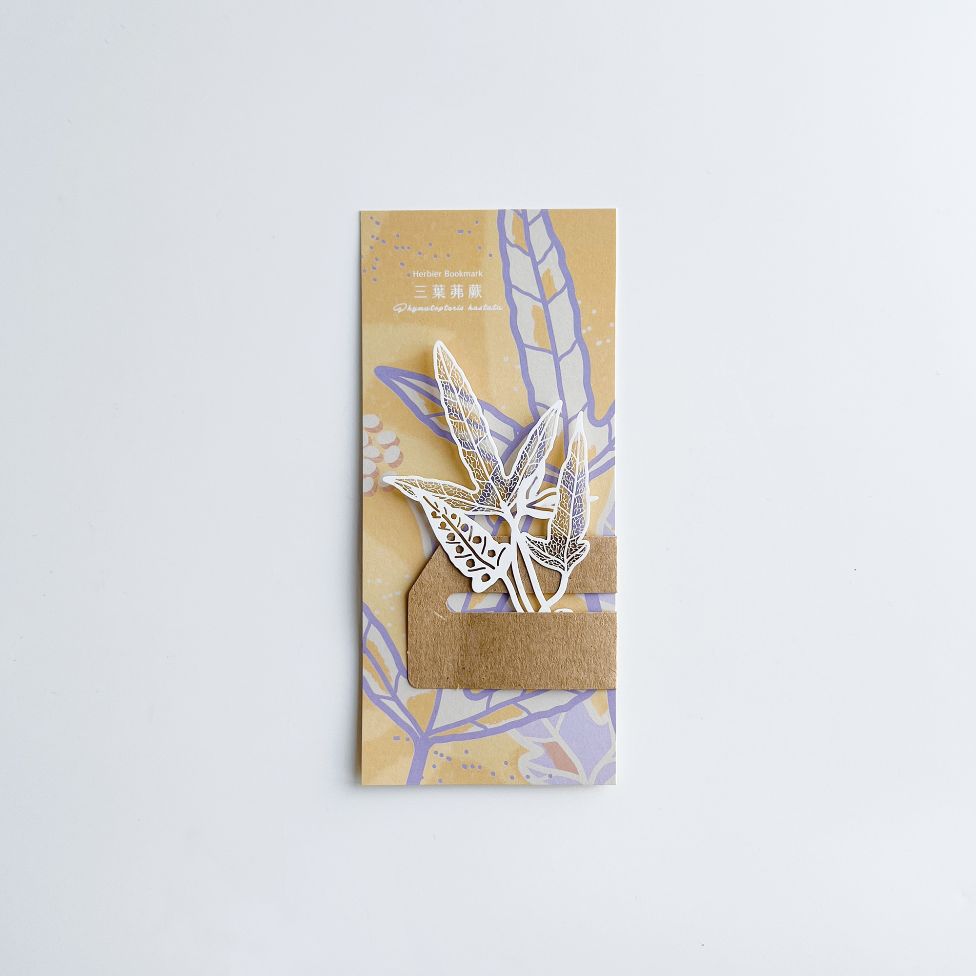 FERN ONLY 只有蕨 蕨類標本紙雕5.0(三葉茀蕨)