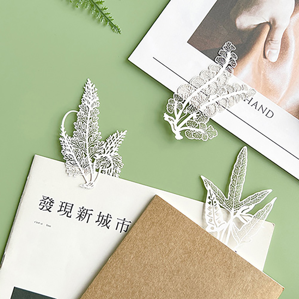 FERN ONLY 只有蕨 蕨類標本紙雕5.0(長生鐵角蕨)