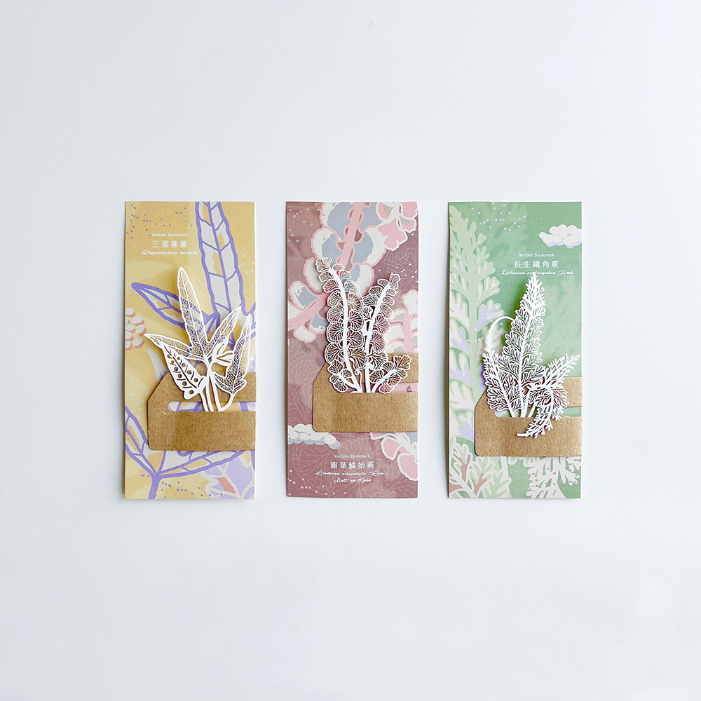 FERN ONLY 只有蕨 蕨類標本紙雕5.0(三葉茀蕨)