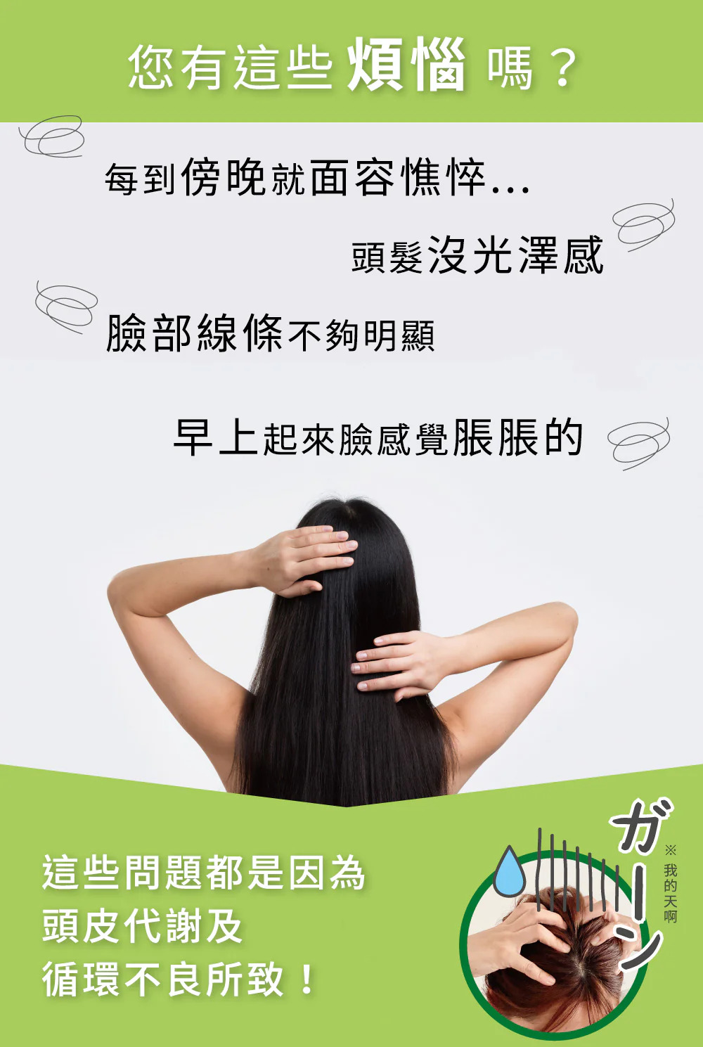 日本EBM E.遠紅外線能量梳加購美顏滾輪