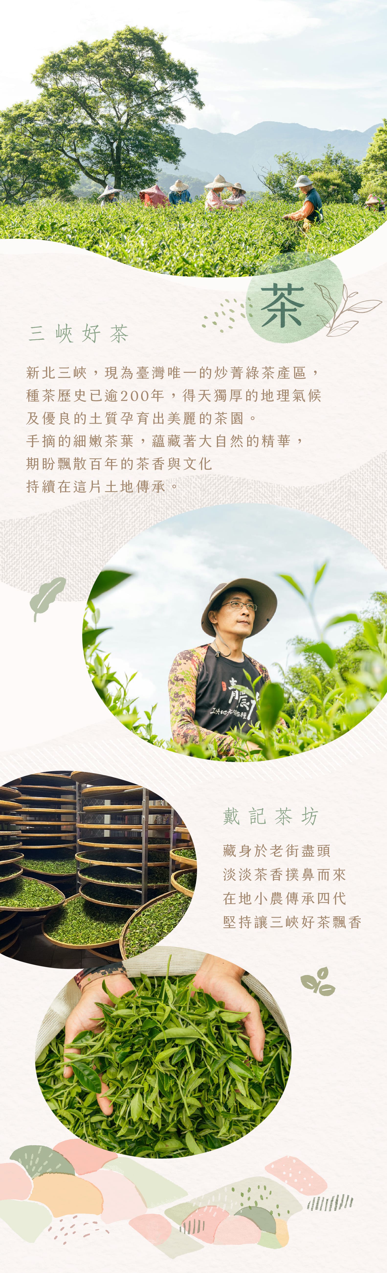 好感良物【秋日野營-與山飲茶】手巾 / 立體茶包