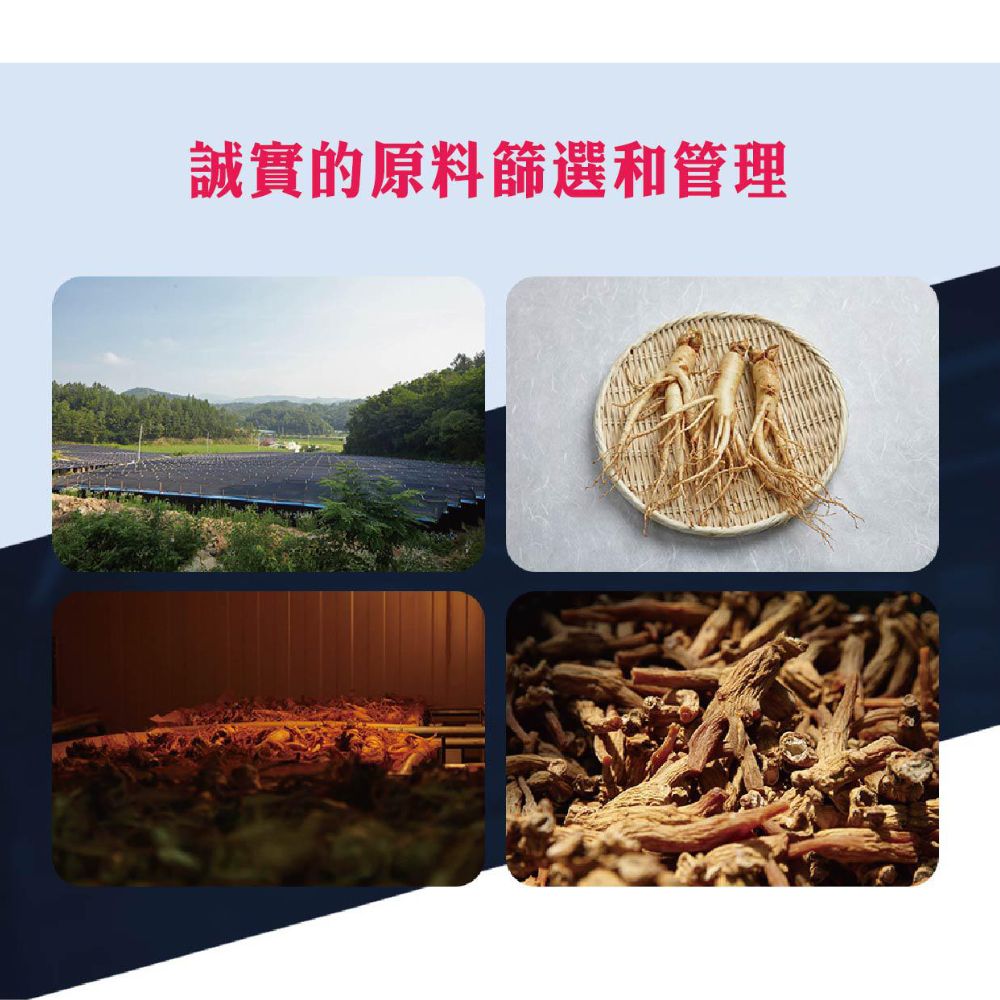 金蔘 GINSENG 金蔘６年根高麗黑蔘滋補液 70ml*30